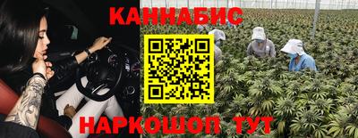 мяу мяу мука Кингисепп