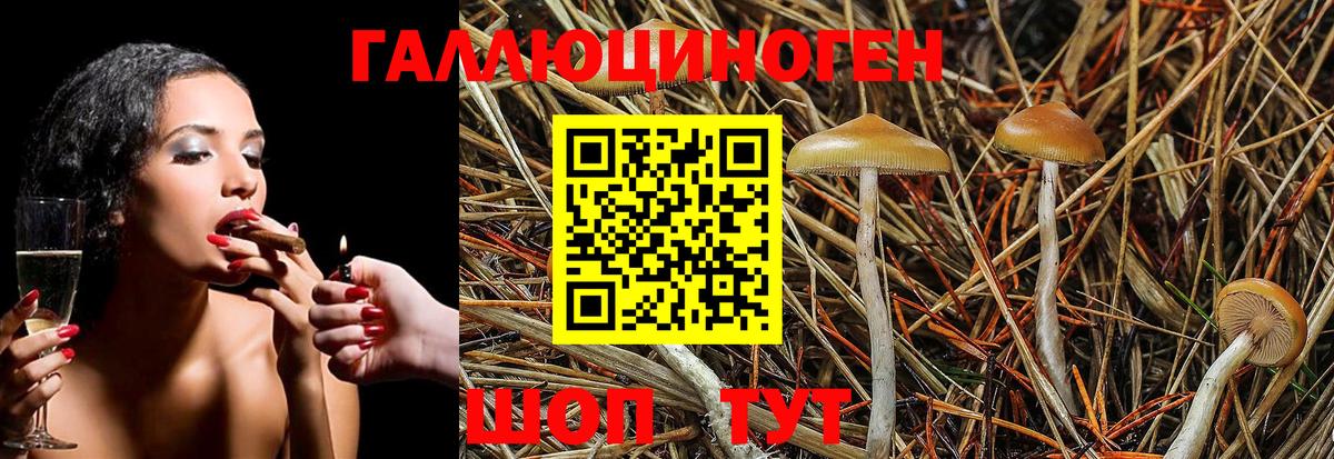 Марихуана  Кохма  КОКАИН  NBOMe  Метадон  Вход с VPN  Меф кристаллы  ГАШ 