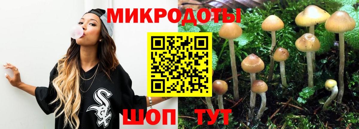Галлюциногенные грибы Magic Shrooms  Вход с VPN  Кохма 