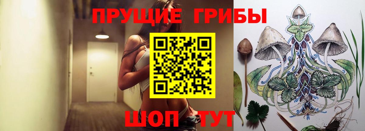 Псилоцибиновые грибы мицелий Кохма